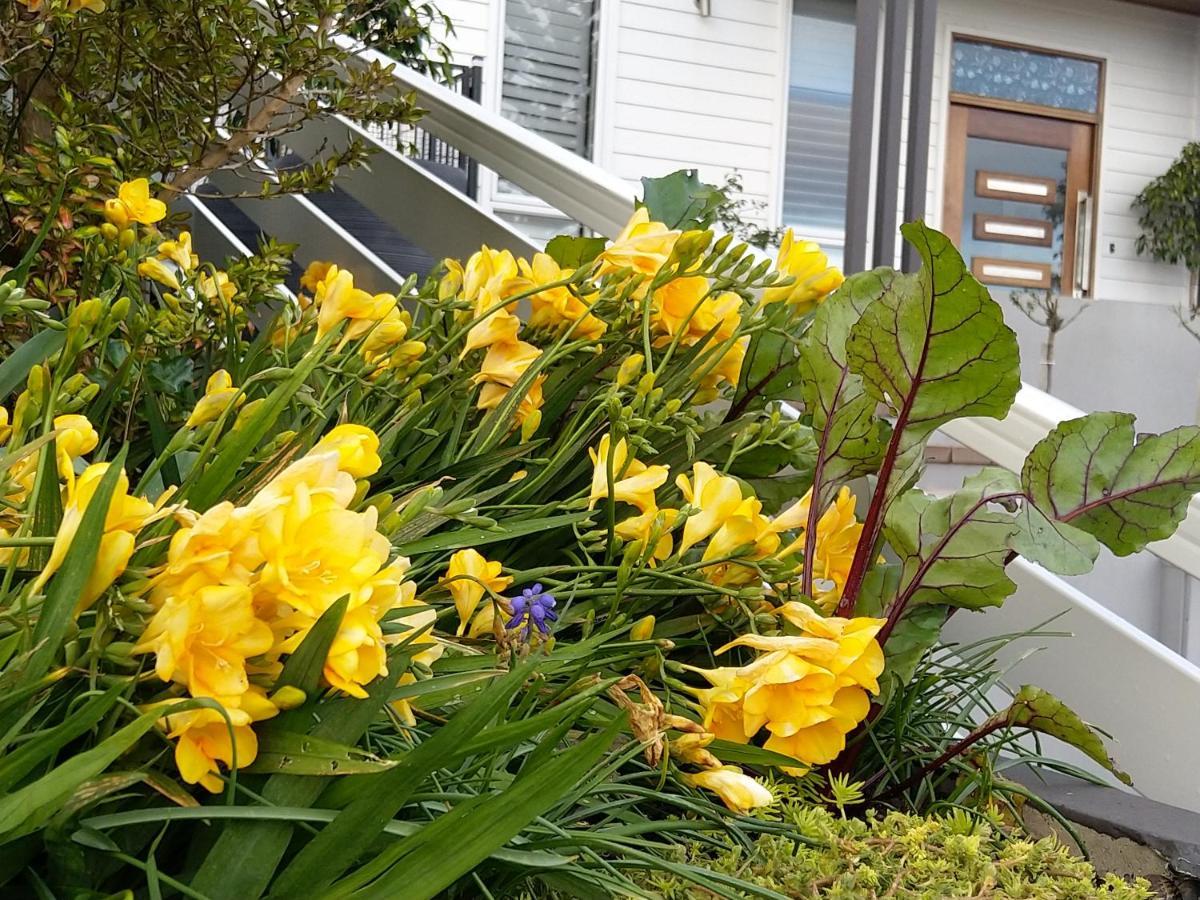 C'Est La Vie Bed & Breakfast Albany Exteriér fotografie